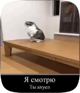 😡