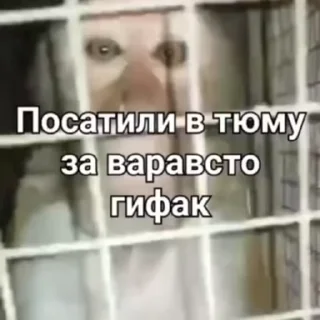 😥