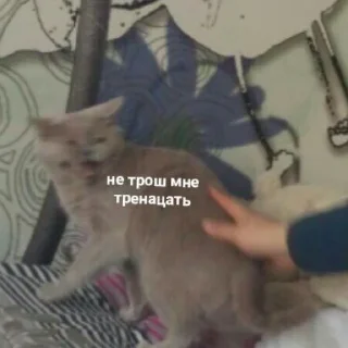 😳