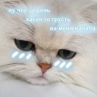😥