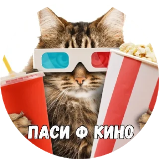 🎬