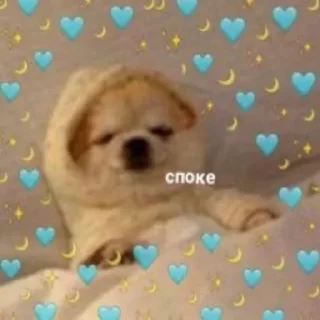 💤