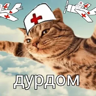 учеба @pictureforcutepeople