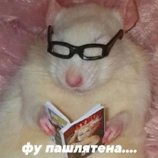 🥵