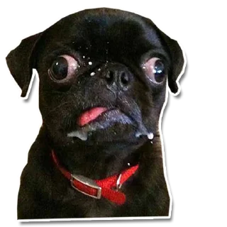 🤪