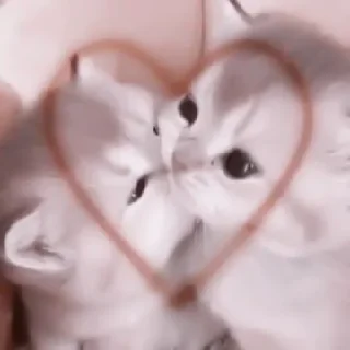 🥠