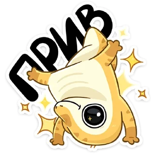 👋
