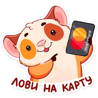 💳