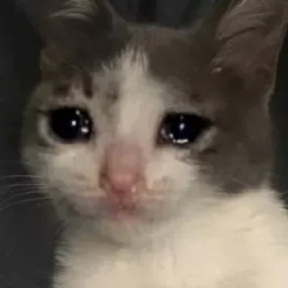 😭