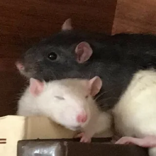 ❤️