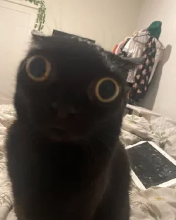😳