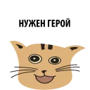 🙀