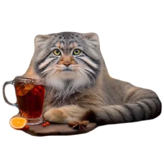 🍵