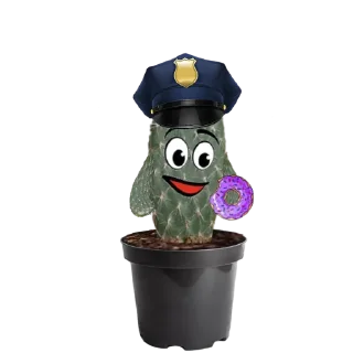 👮‍♂