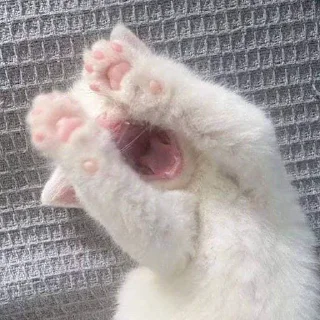 🥺