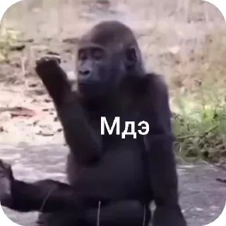 🙄