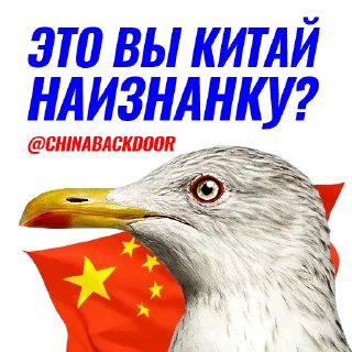 Чаечка