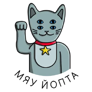 😺