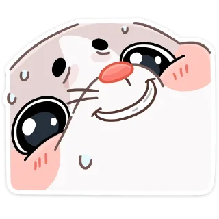 😅