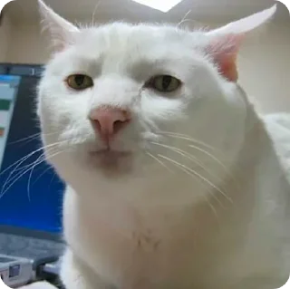 😒