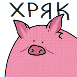 🐷