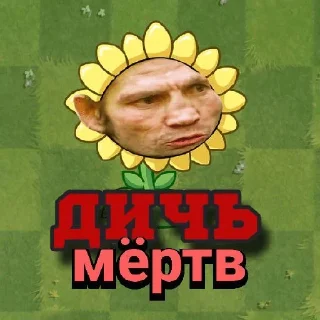 💀