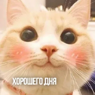 😀