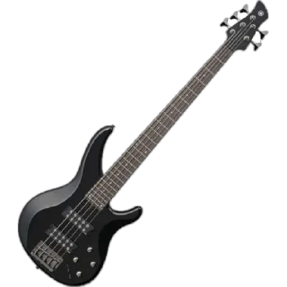 🎸