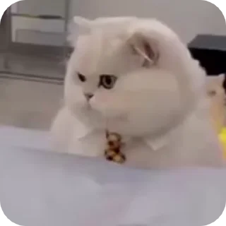 🤔