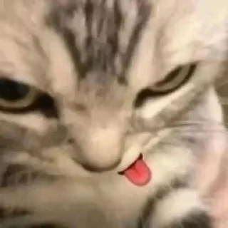 😋