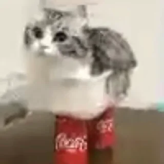 😶