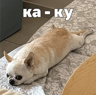 👽