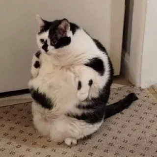 😶