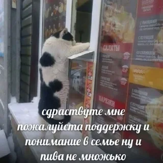 🥺