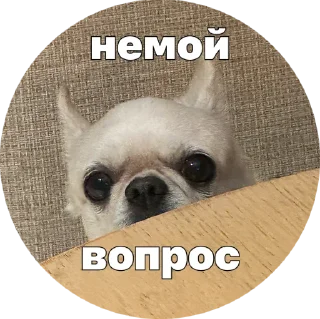 ❓