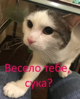 😠