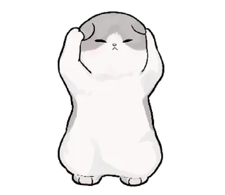 🐱
