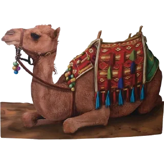 🐫