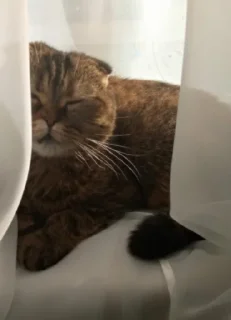 🌞