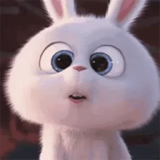 😳