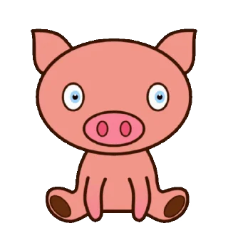 🐷