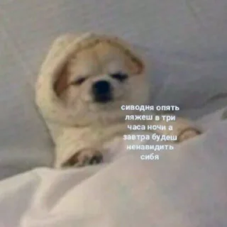 😠