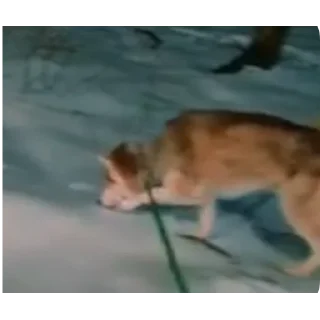 👍