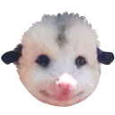🙂