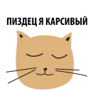 🐱