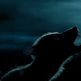 🐺