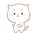 🐱