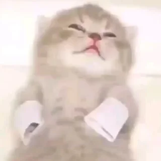 🤕