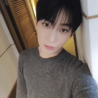 🦊