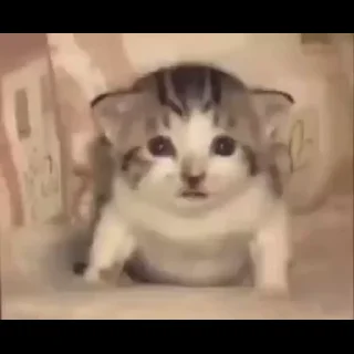 😐